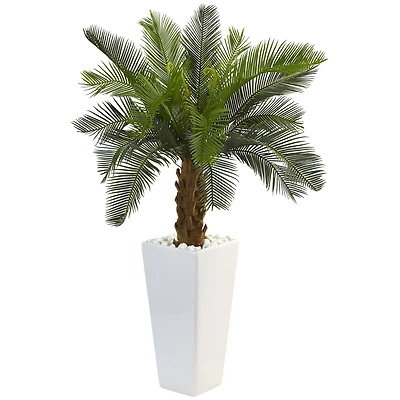 3ft. Sago Palm Tree in White Tower Planter