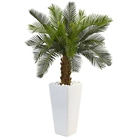 3ft. Sago Palm Tree in White Tower Planter