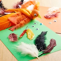 Neutral Feathers Value Pack by Creatology™