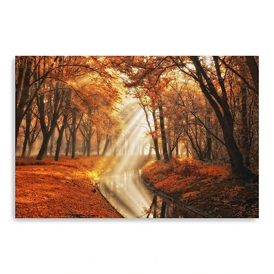 Little Black Duck Canvas Giclee