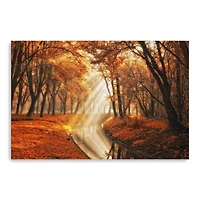 Little Black Duck Canvas Giclee