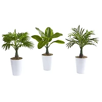 18" Assorted Mini Palm and Banana Plant in White Planter Set