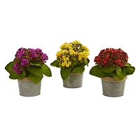 9" Kalanchoe Arrangement in Decorative Pot, 3ct.