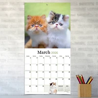 2026 Kittens Wall Calendar