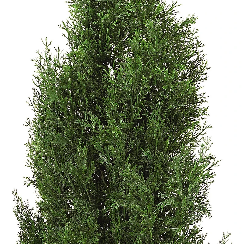 4ft. Potted Cedar Pine Tree
