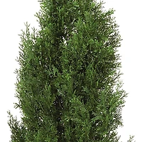4ft. Potted Cedar Pine Tree