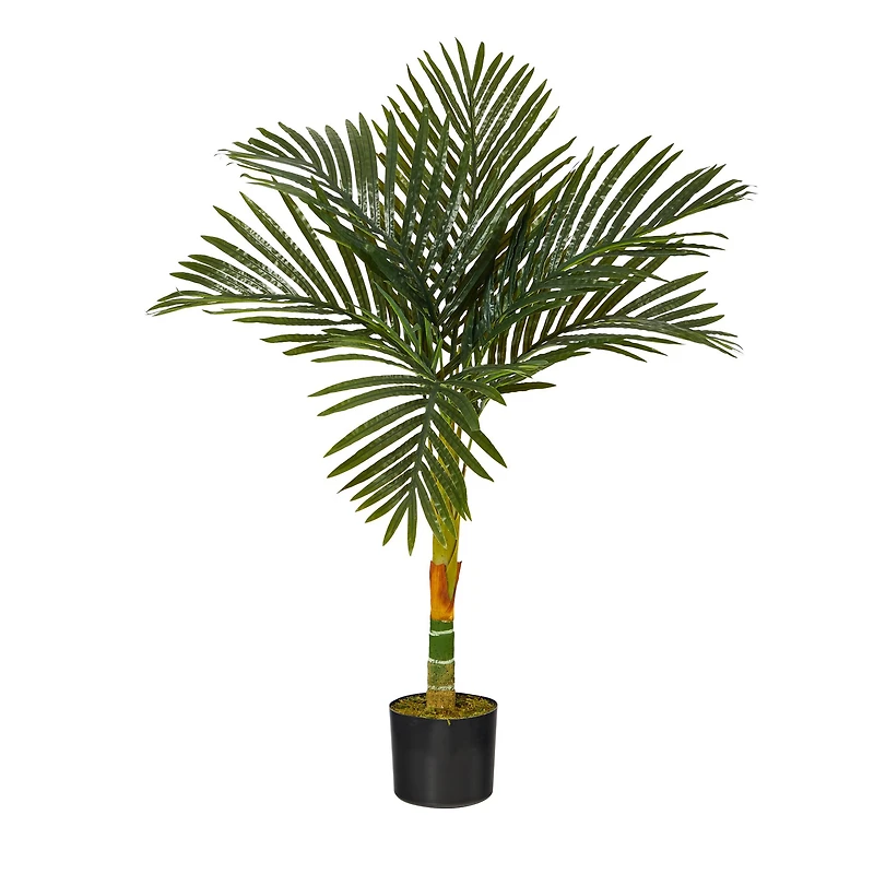 3ft. Potted Golden Cane Palm Tree