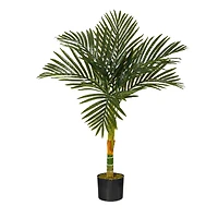 3ft. Potted Golden Cane Palm Tree