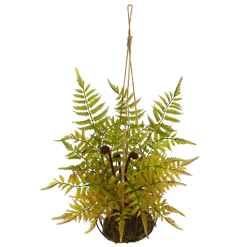 21" Fern in Metal Hanging Basket