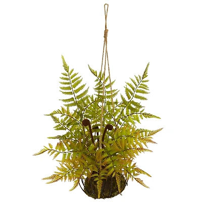 21" Fern in Metal Hanging Basket