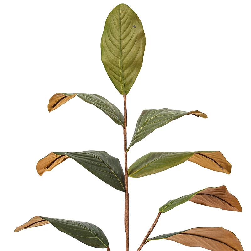 Artificial Green Magnolia Spray, 3ct.