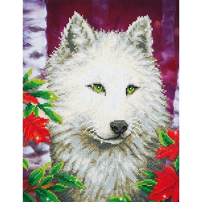 Diamond Dotz® White Wolf Diamond Painting Kit