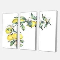 Designart - Branch of Yellow Lemons and Leaves II