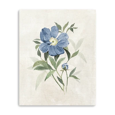 Farmhouse Periwinkle III Canvas Giclee