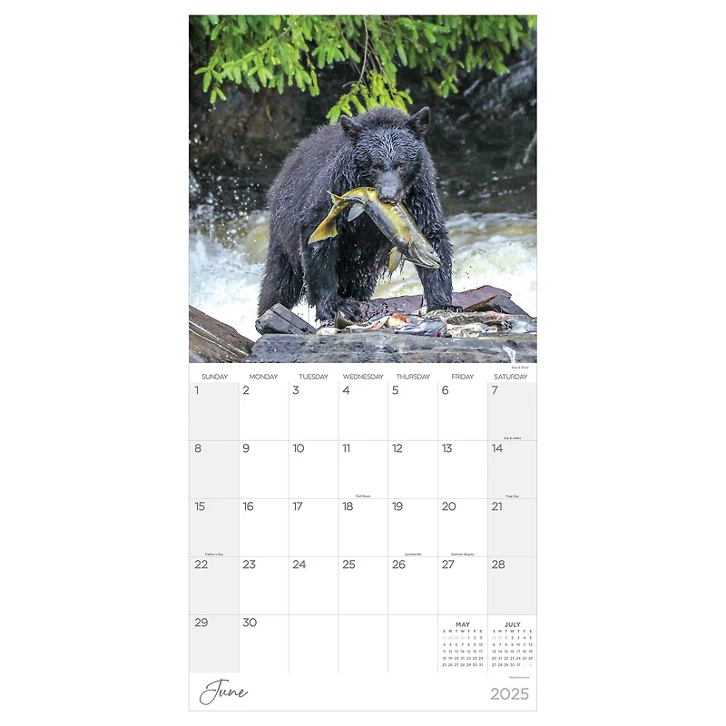 TF Publishing 2025 Wild Wall Calendar