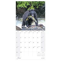 TF Publishing 2025 Wild Wall Calendar