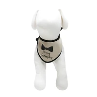 Best Furry Friends Ring Bearer Bandana