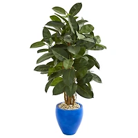 4.5ft. Rubber Tree in Blue Planter