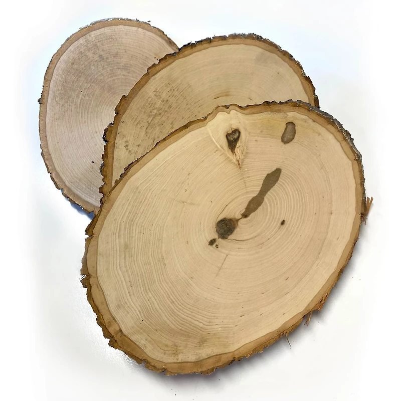 Wilson® Enterprises Large/X-Large Basswood Plaques, 15ct.