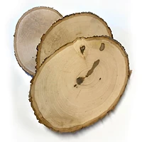 Wilson® Enterprises Large/X-Large Basswood Plaques, 15ct.