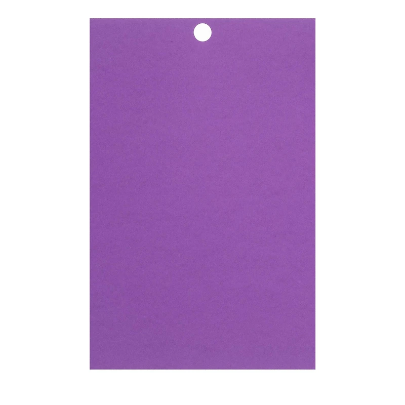 Purple Passion 4.5" x 7" Cardstock Paper by Recollections™, 100 Sheets