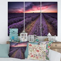Designart - Sunrise & Dramatic Clouds Over Lavender Field IX