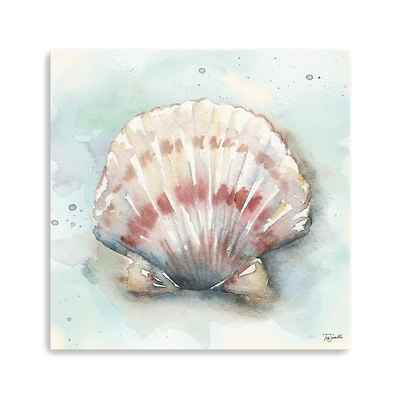 Watercolor Shells VI Canvas Giclee