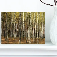 Designart - Green Fall Forest with Thick Trees