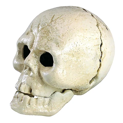 Design Toscano Pop Your Top Skeleton Skull Cast Iron Bottle Opener