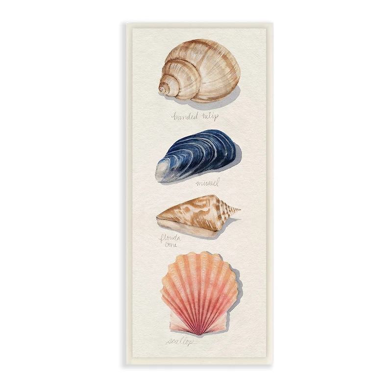 Stupell Industries Ocean Life Sea Shells Soft Beige Sand, 7" x 17"