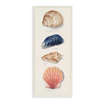 Stupell Industries Ocean Life Sea Shells Soft Beige Sand, 7" x 17"