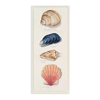 Stupell Industries Ocean Life Sea Shells Soft Beige Sand, 7" x 17"