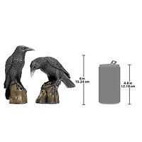 Design Toscano 6" Mystic Night Raven Statues