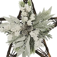 15" Shimmery Pine & Berry Grapevine Star by Ashland®