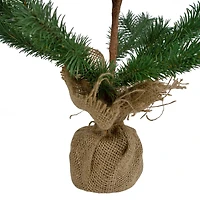 2ft. Unlit Ponderosa Pine Artificial Christmas Tree in Burlap Base