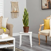 2.5ft. Snake Plant in Decorative Basket Planter