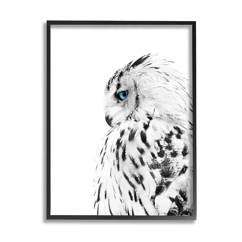 Stupell Industries Snow Owl White Feathers Peering Blue Eyes in Frame Wall Art