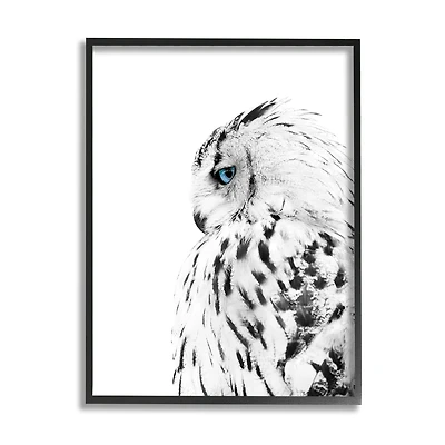 Stupell Industries Snow Owl White Feathers Peering Blue Eyes in Frame Wall Art