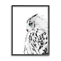 Stupell Industries Snow Owl White Feathers Peering Blue Eyes in Frame Wall Art