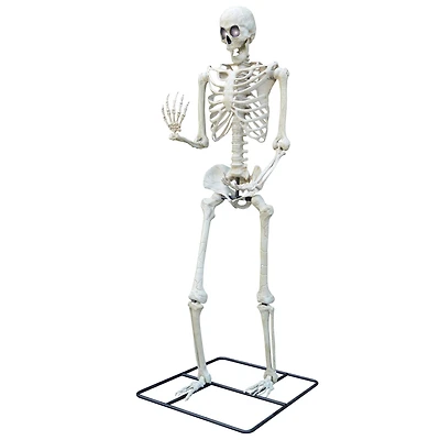 10ft. Oversized Posable Skeleton by Ashland®