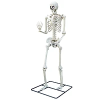 10ft. Oversized Posable Skeleton by Ashland®