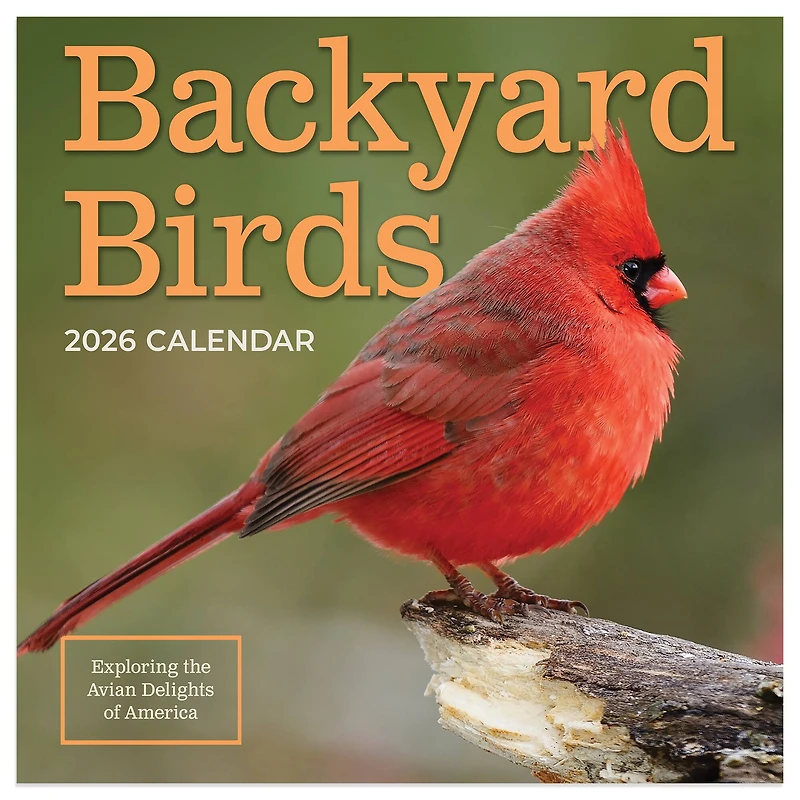 2026 Backyard Birds Mini Calendar