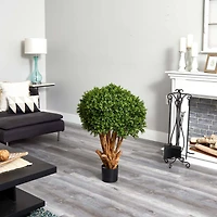 3ft. Potted Boxwood Topiary Tree 