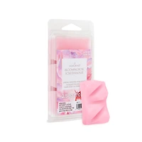 Spring Scented Wax Melts by Ashland