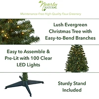 4ft. Pre-Lit Northern Tip Pine Artificial Christmas Tree, Clear LED Lights