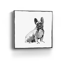French Bull Dog Canvas Giclee