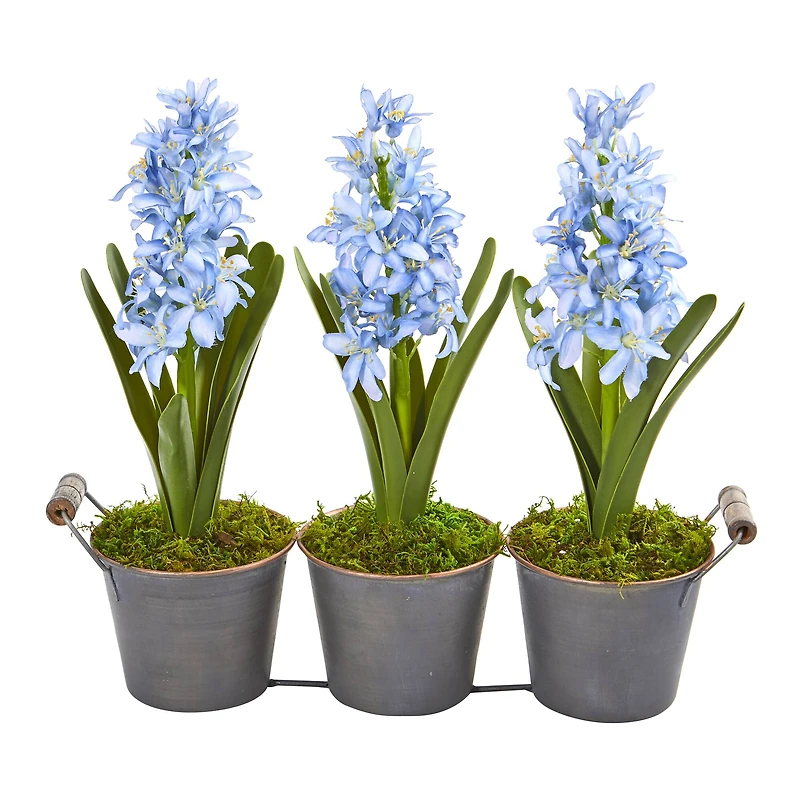 Blue Triple Potted Hyacinth Set