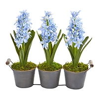 Blue Triple Potted Hyacinth Set