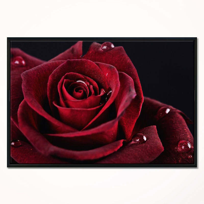 Designart - Red Rose with Raindrops on Black