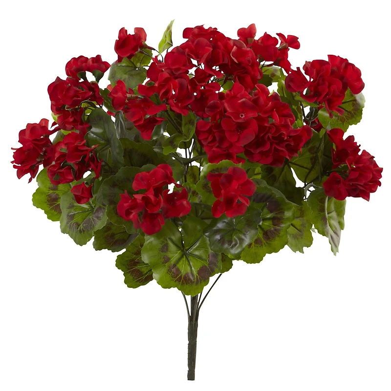 Red Geranium Bush, 3ct.